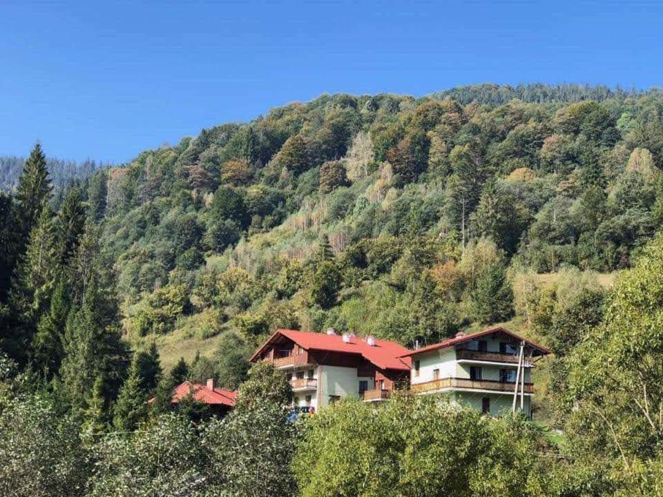 Hotel Лісова Казка Sławsko Zewnętrze zdjęcie